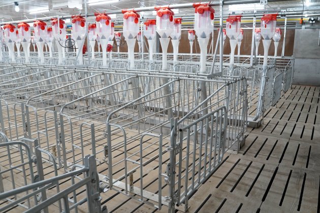 經產母豬限位欄